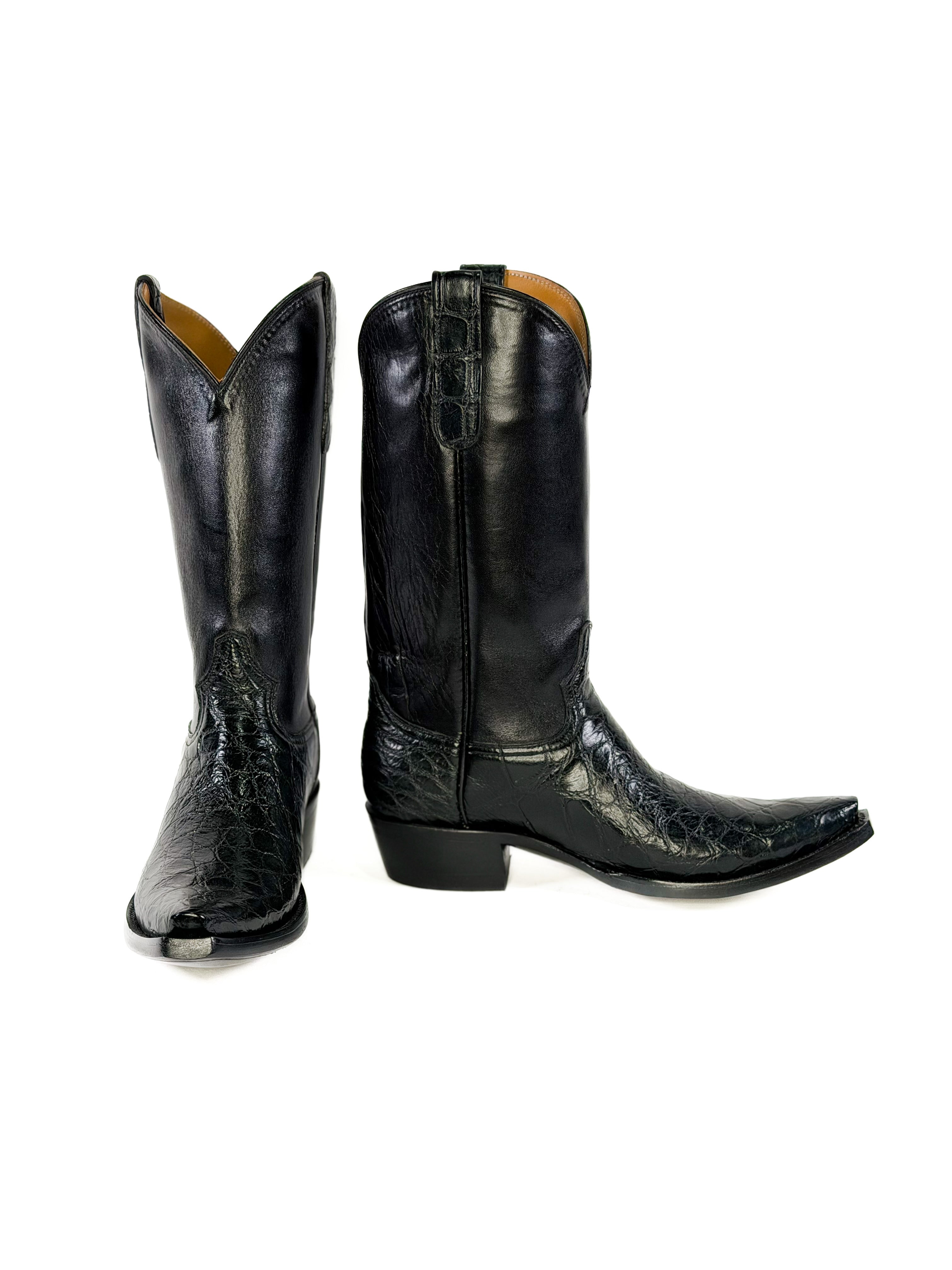 American Alligator- Outlaw — side view