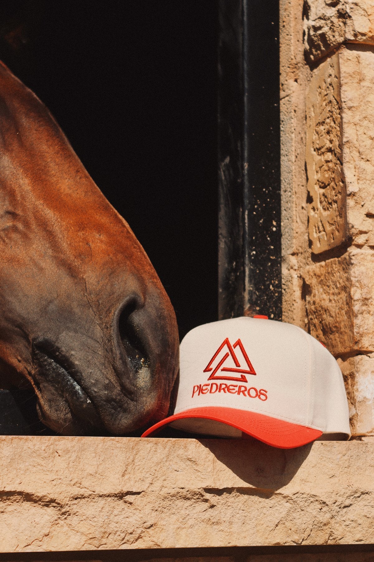 Horse nosing a Piedreros cap on a limestone stall