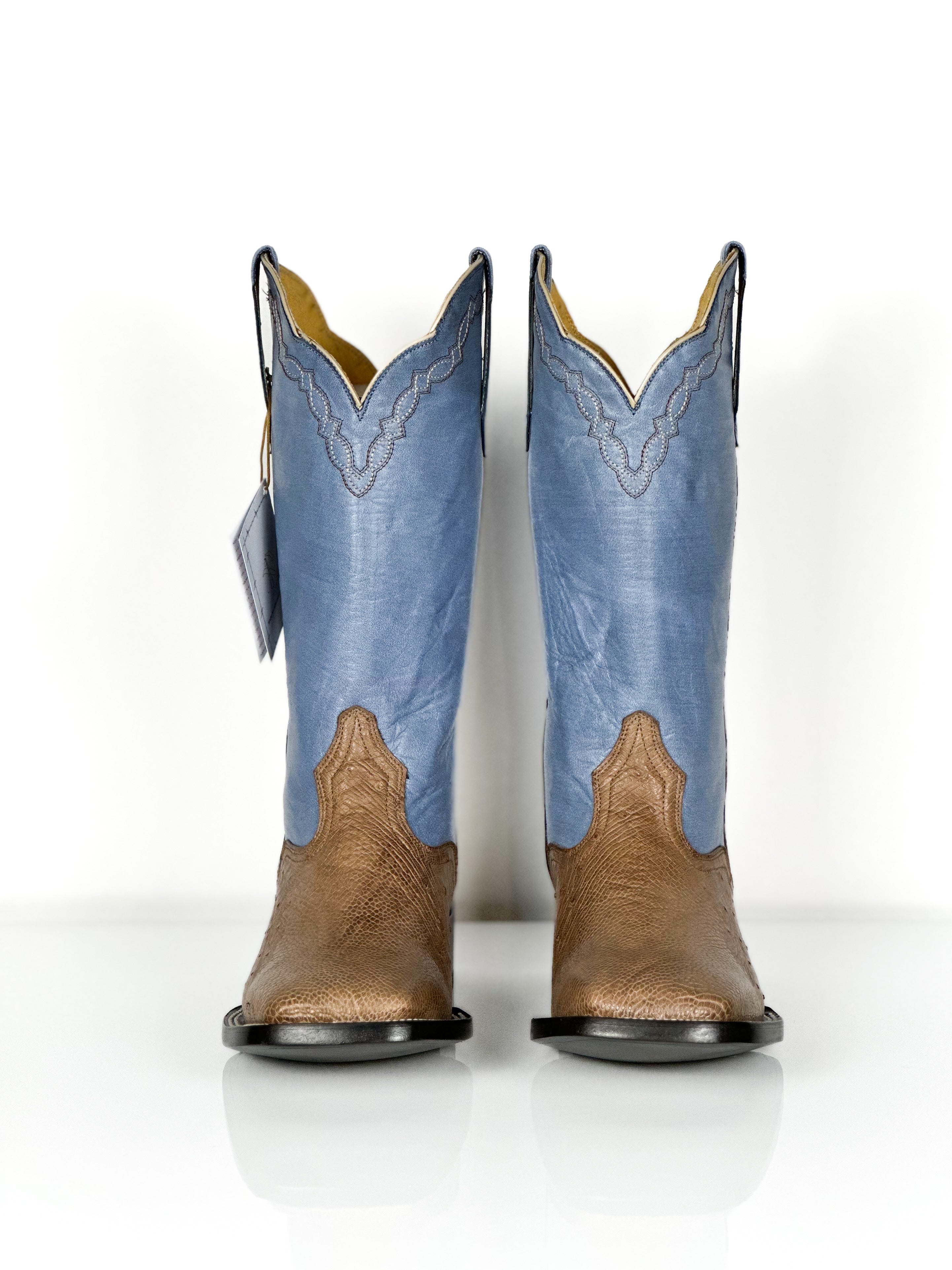 Men's Ostrich- Blue skin — top view
