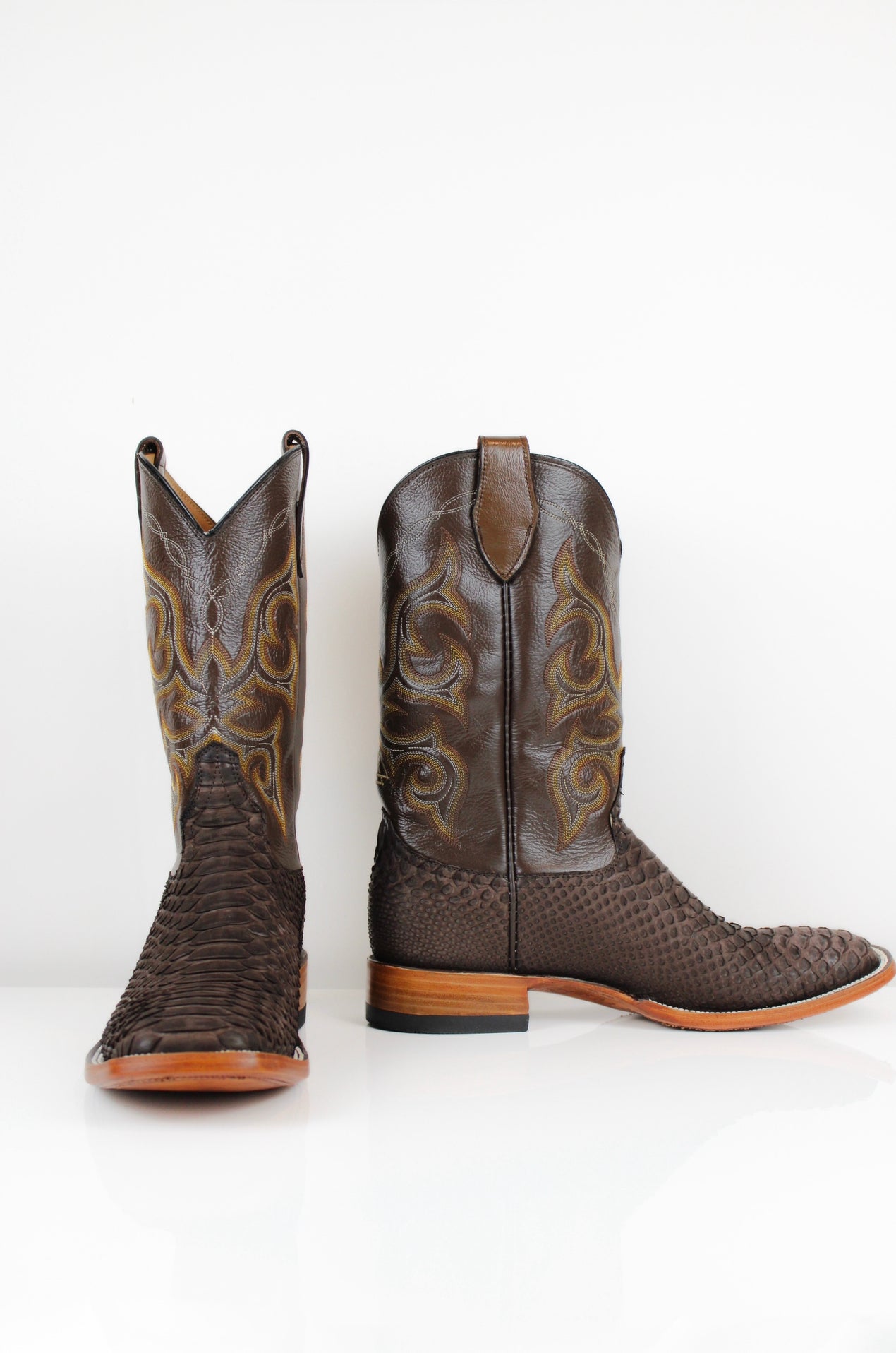 Alydar-Python — detail shot