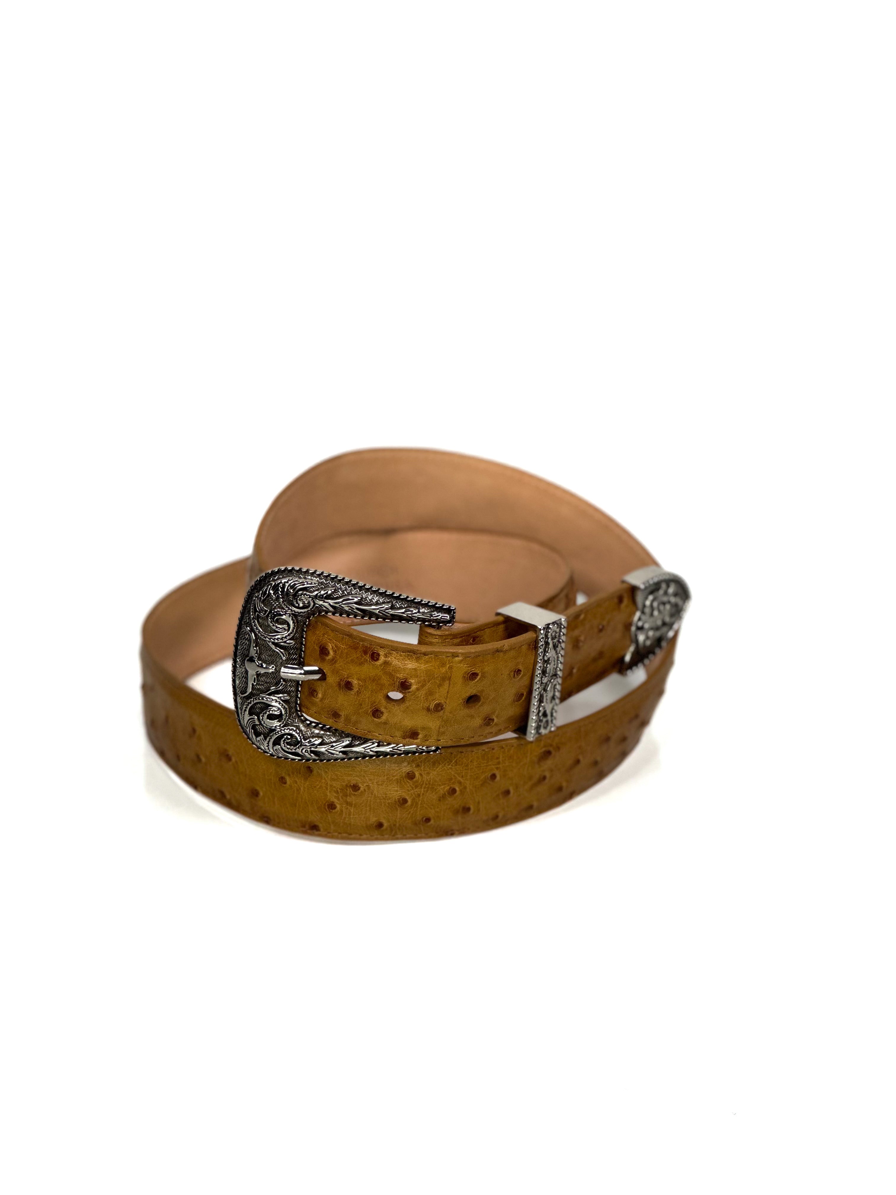 Belt- Tuscany ostrich — handcrafted ostrich belt by Cuadra Piedreros