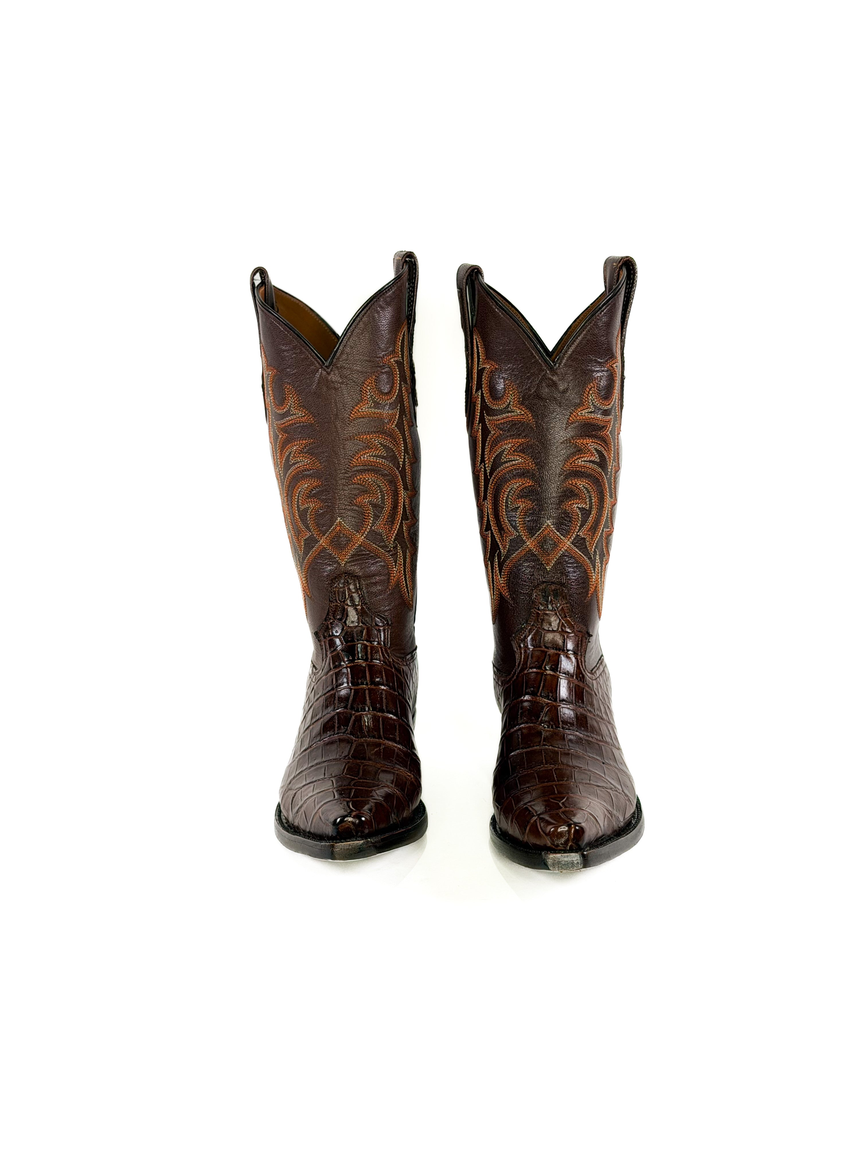 American Alligator- Cimarron — angled view