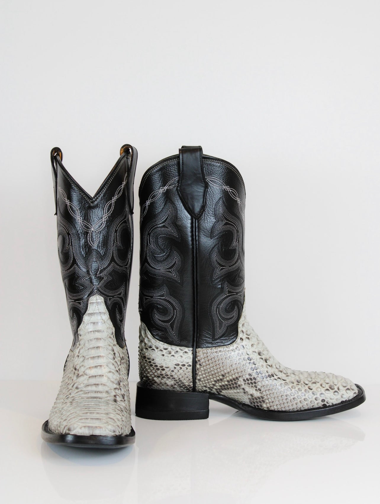 Dalmatian — side view