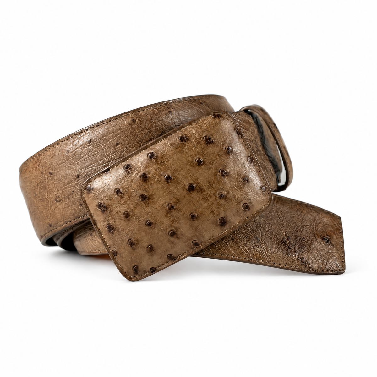 Montana Belt — front view