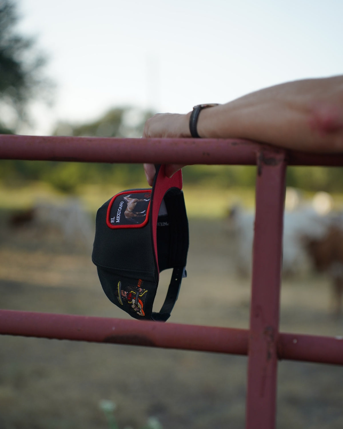 Horse Cap El Mexicano — hanging on a ranch gate